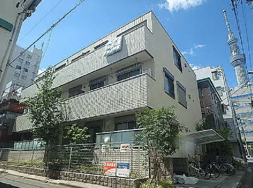 メゾン・パイン・ツリー