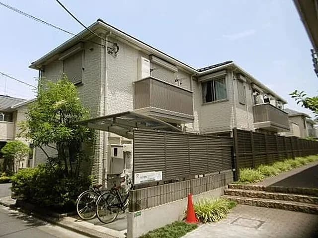 メープル コート