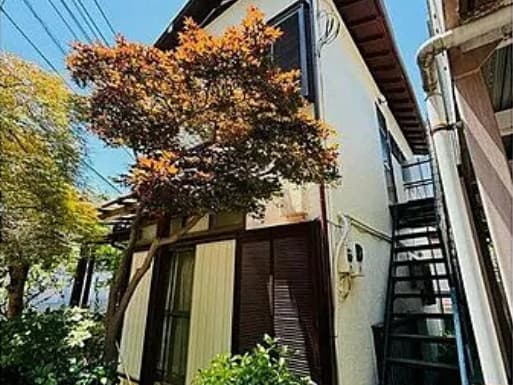 神南前野