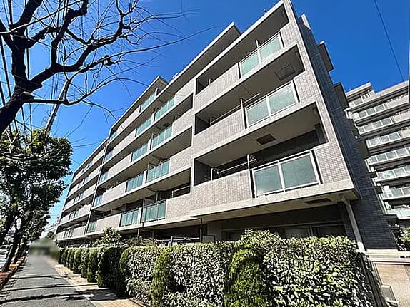 ソフィア志村