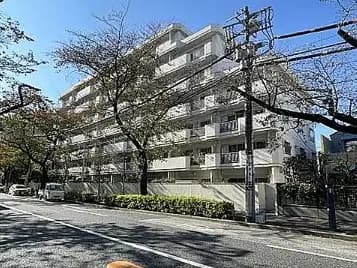 パシフィックニュー中野