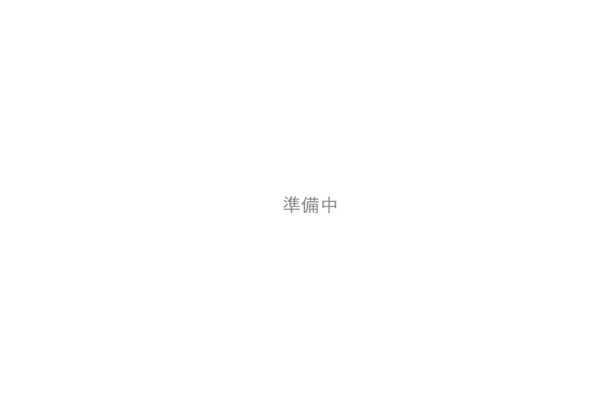 画像は準備中の表示です。